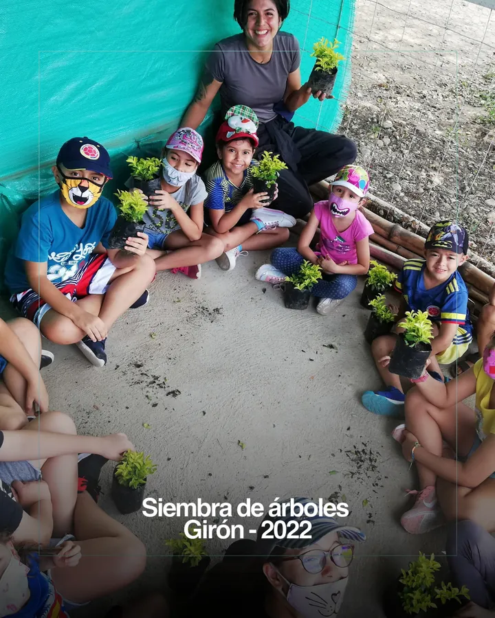 Siembra de árboles, Girón, 2022